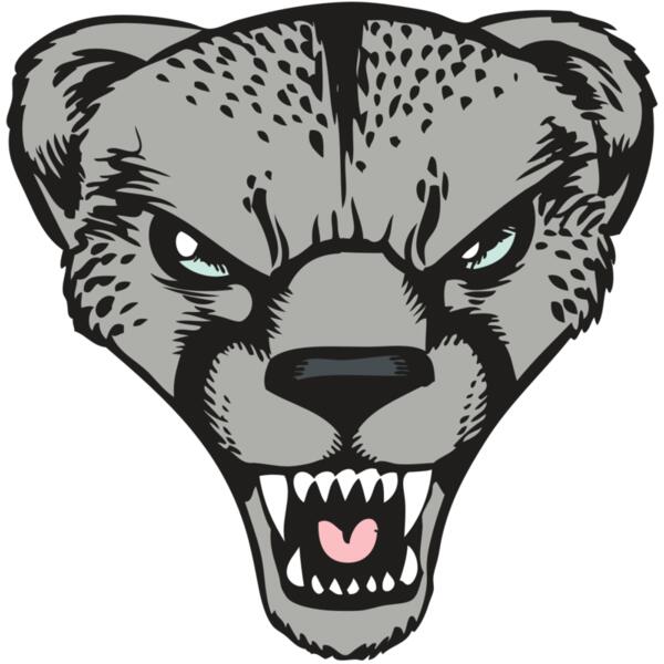 BAW CHEETAH 15 RC Thumbnail