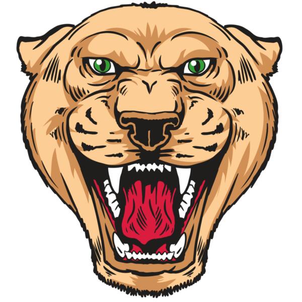 AR13 PNTHR 01 RQC Thumbnail