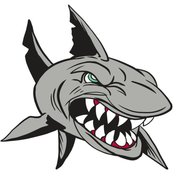 AR4 SHARK 01 RQC Thumbnail