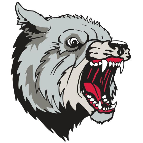 AR WOLF 38 RC Thumbnail