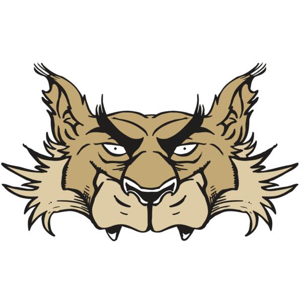 AR5 Wolf 28 RQC Thumbnail