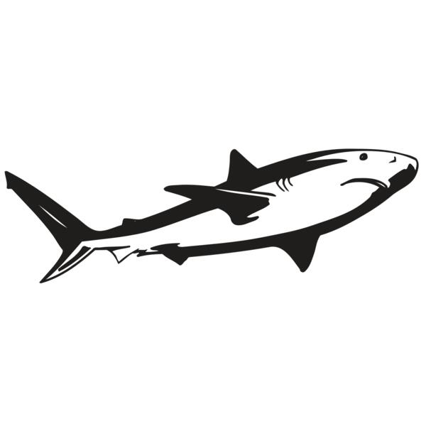 AR5 Shark 15 RQC Thumbnail